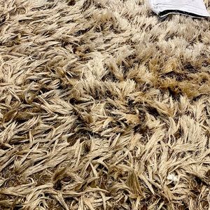 Meet your Posher, Serena